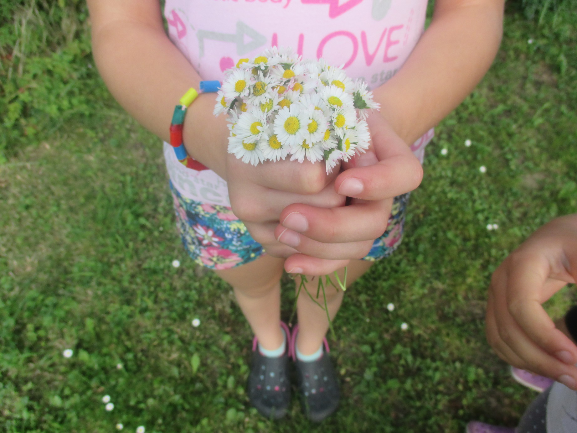 IMG_2486_resize